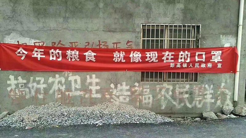 年轻人进城打工,农村很多耕地被撂荒。(网络图片/乔龙提供)