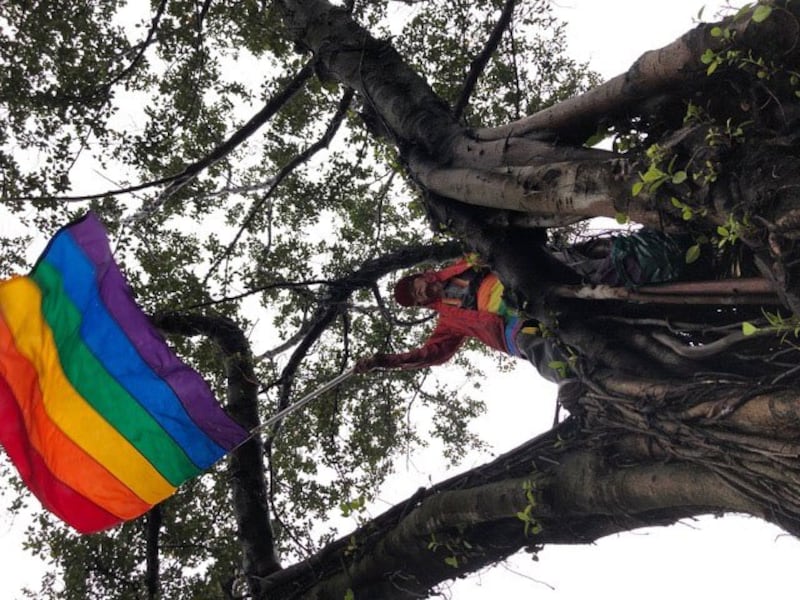 推动同性婚姻三十年祁家威在雨中爬树摇彩虹旗为同性恋朋友打气。(记者夏小华摄)